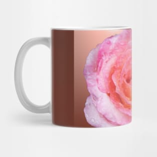 rain drops on the pink rose Mug